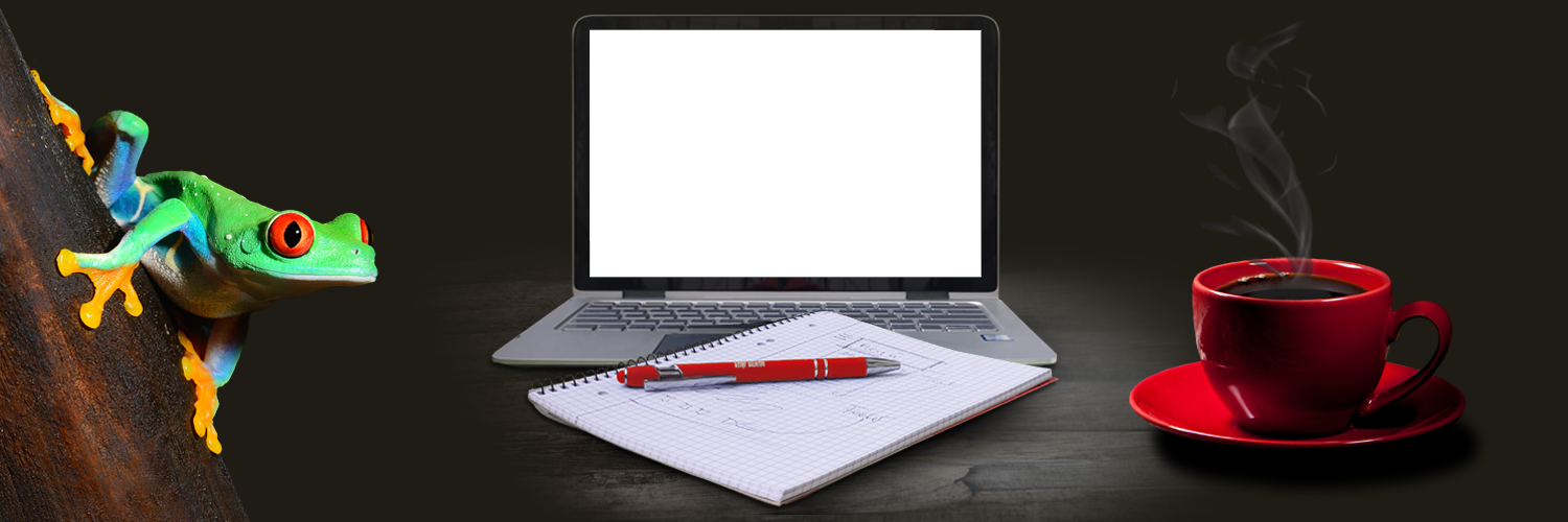 bg webdesign
