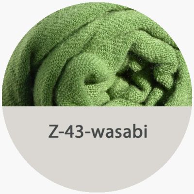 csd-z-43-wasabiF9876976-F24D-BE3D-C0A4-1F007B4BEC82.jpg
