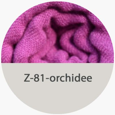 csd-z-81-orchidee2D674FBA-38D7-11F3-97EC-4C1453FCBA97.jpg